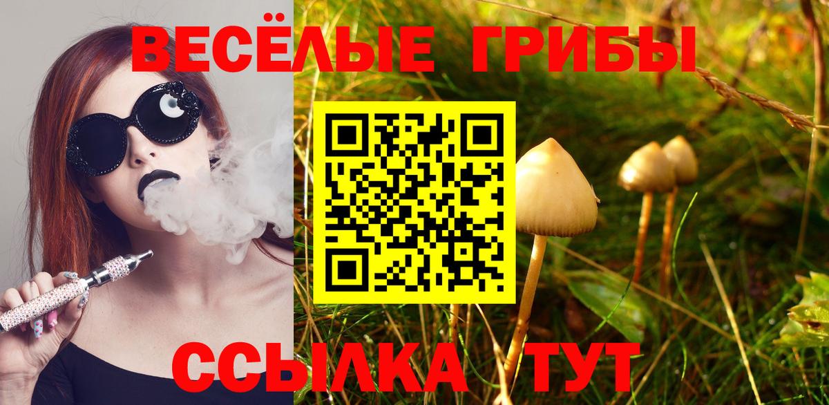 купить   Галлюциногенные грибы Psilocybine cubensis  Вход с VPN  Псилоцибиновые грибы Psilocybe  Минеральные Воды 